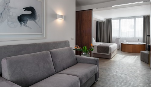 Suite Deluxe, balcón (Acropolis View)