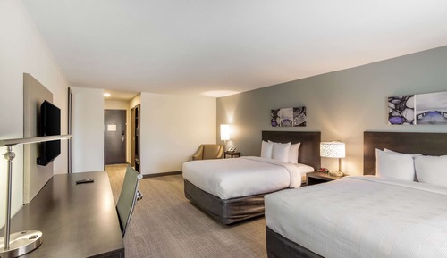 Suite, 2 camas de matrimonio, no fumadores