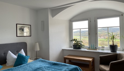 Habitación básica doble, baño privado, vistas a la montaña (Forsthaus 5)
