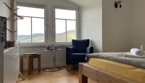 Habitación básica doble, baño privado, vistas a la montaña (Forsthaus 11)