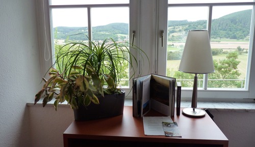 Habitación básica doble, baño privado, vistas a la montaña (Forsthaus 4)