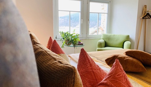 Habitación básica doble, baño privado, vistas a la montaña (Forsthaus 12)
