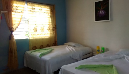 Habitación básica, varias camas, vistas al patio