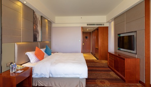 Habitación individual Premium