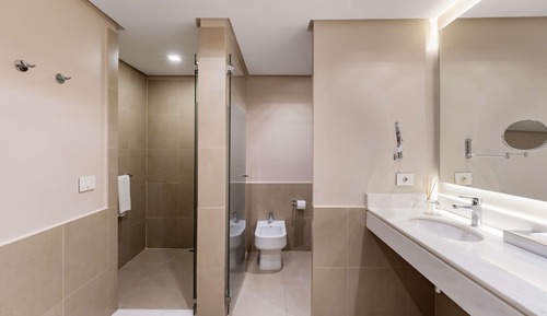 Suite ejecutiva, 1 cama de matrimonio grande