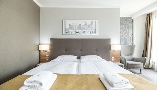 Habitación Confort con 1 cama doble o 2 individuales