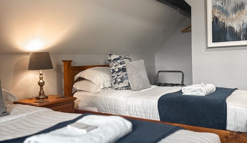 Habitación estándar con 2 camas individuales, baño privado, vistas al río