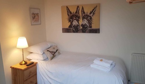 Habitación individual estándar (Room 1)