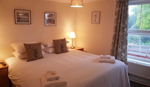 Habitación estándar doble (Room 6)