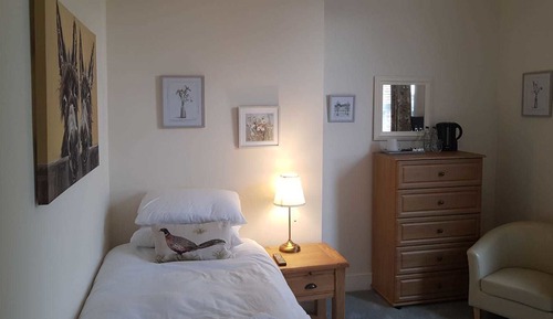Habitación individual estándar (Room 2)