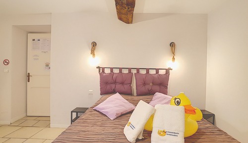 Habitación Confort con 1 cama doble o 2 individuales, vistas al jardín