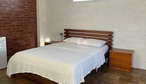 Habitación estándar doble, varias camas, vistas al jardín
