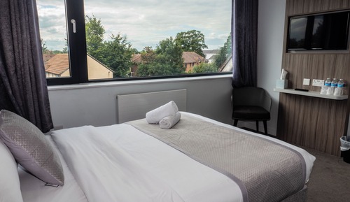 Family Room, 1 King Bed and 1 Single Bed, Non Smoking.