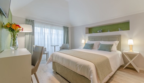 Habitación doble superior, 1 cama de matrimonio, vistas al jardín