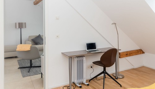 Apartamento Deluxe, 1 habitación, cocina (incl. cleaning fee of 120 CHF)