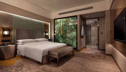 Suite Deluxe, 1 habitación
