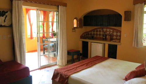Estudio, vistas al jardín