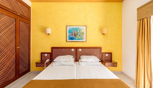 Habitación estándar con 1 cama doble o 2 individuales, vistas al jardín