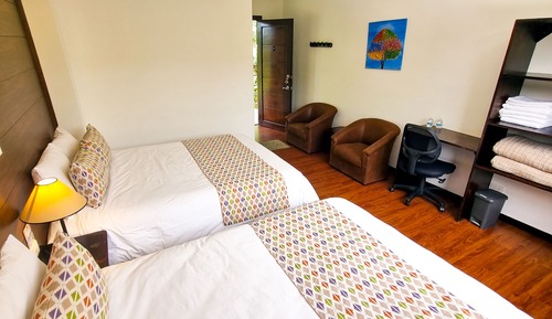 Habitación doble, vistas a la montaña