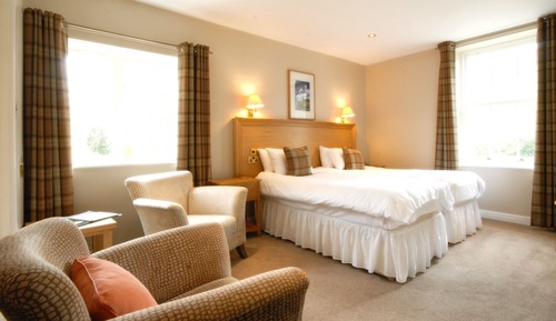 King Double Room
