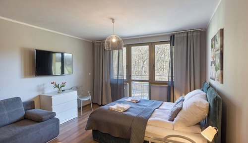 Suite estudio estándar, 1 cama de matrimonio con sofá cama