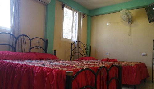 Habitación estándar doble, 1 habitación