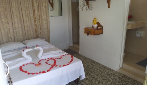 Habitación doble, 1 cama de matrimonio (#2)