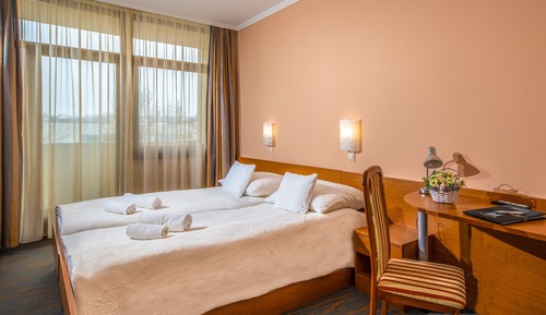 Habitación estándar con 1 cama doble o 2 individuales, 1 cama individual, vistas al parque