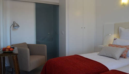 Habitación con 2 camas individuales, vistas al viñedo