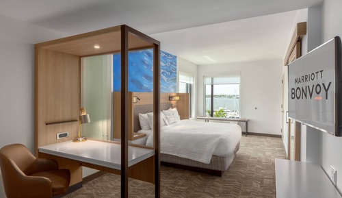 Suite, 1 cama de matrimonio grande (Water View)