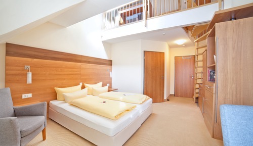 Habitación Confort con 1 cama doble o 2 individuales, vistas al jardín