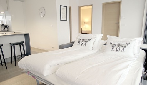 Apartamento Confort, 1 habitación (101)