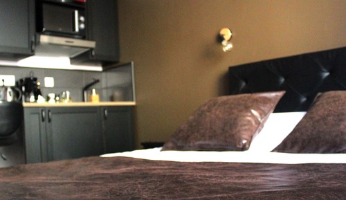 Estudio Deluxe, baño privado, vistas a la ciudad