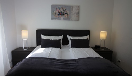 Apartamento Confort, 1 habitación, no fumadores, vistas al jardín