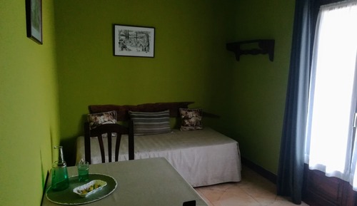 Habitación doble, balcón, vistas al jardín (1)