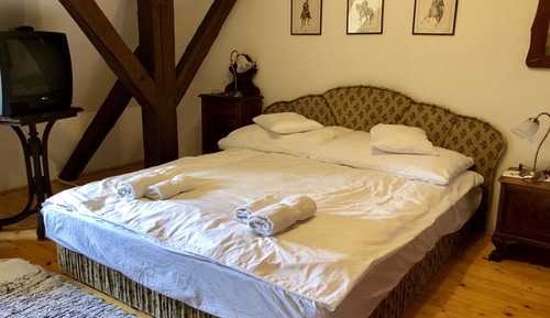 Habitación superior, 1 cama de matrimonio con sofá cama, vistas al lago