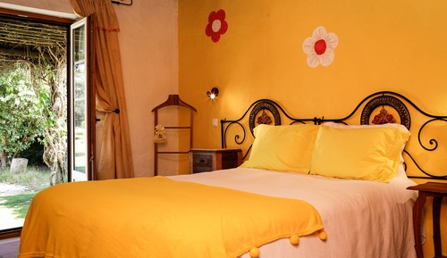 Apartamento, 1 habitación, vistas al jardín