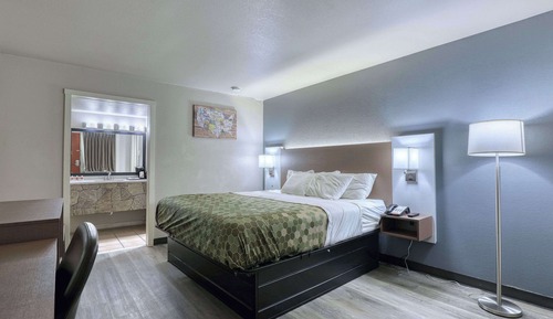 Habitación estándar, 1 cama de matrimonio grande, no fumadores