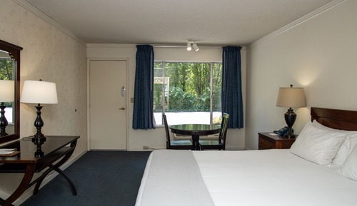 Habitación estándar, 1 cama de matrimonio grande