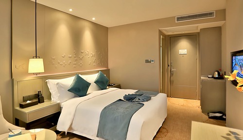 Habitación junior