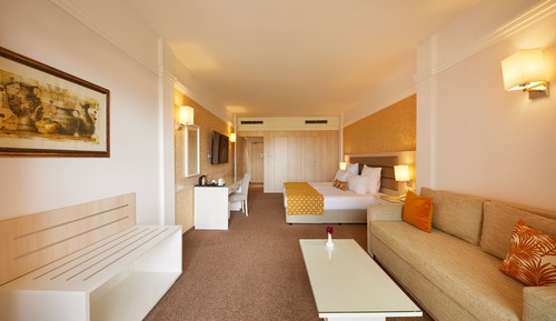 Habitación Deluxe doble, terraza, vistas al parque (2 Adults + 1 Child)