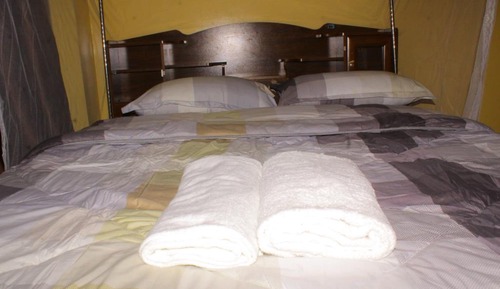 Suite Deluxe