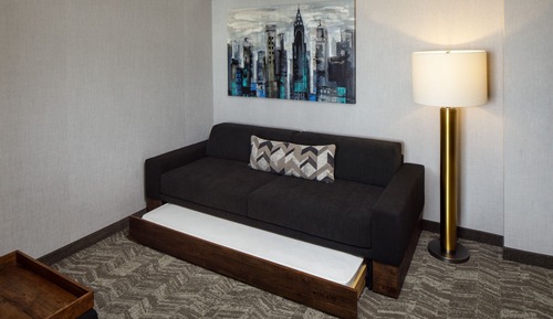 Suite estudio, varias camas (Mobility Accessible, Roll-In Shower)