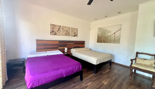 Suite Premier, varias camas, no fumadores, vistas al jardín