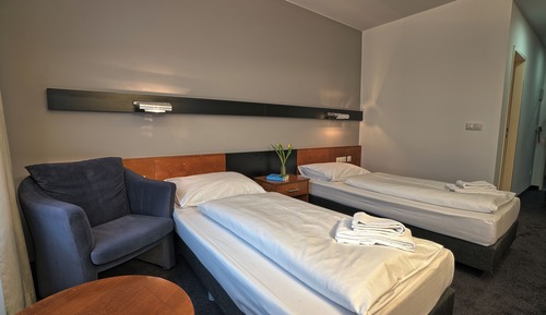 Habitación Confort con 1 cama doble o 2 individuales