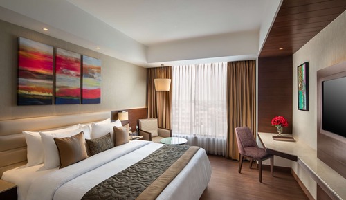 Suite, 1 cama doble