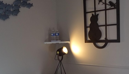 Habitación doble (Maine Coon)