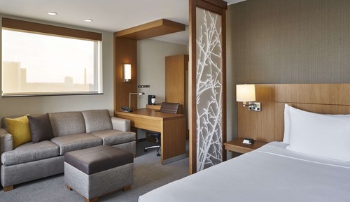 Habitación, 1 cama de matrimonio grande con sofá cama