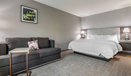 Habitación, 1 cama de matrimonio grande con sofá cama, frigorífico y microondas