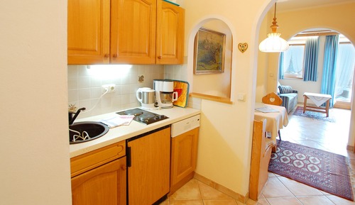 Traditional Apartment, 1 Bedroom, Mountain View, Mountainside
